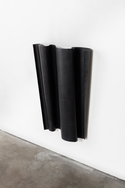 Ricky Swallow Flag/Tipped (soot), 2015