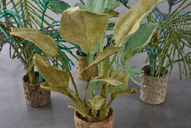 Evan Holloway Plants and Lamps, 2015