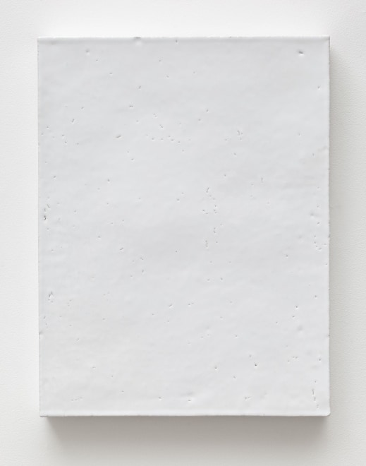 Mai-Thu Perret She enters the realm of touch without succumbing to touch, 2011
