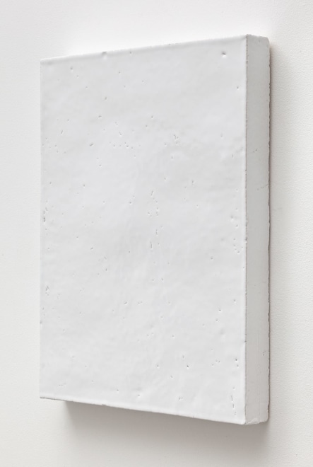 Mai-Thu Perret She enters the realm of touch without succumbing to touch, 2011