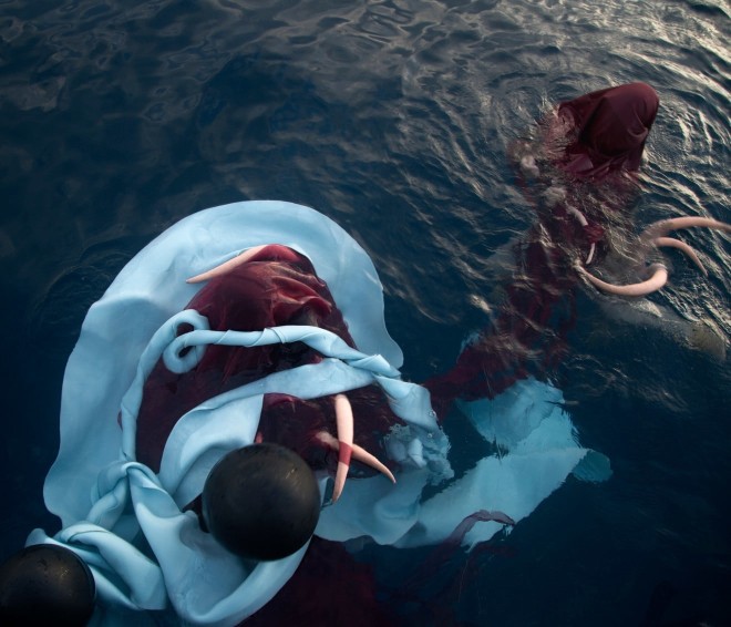 Janaina Tschäpe in Moby Dick: The Whale