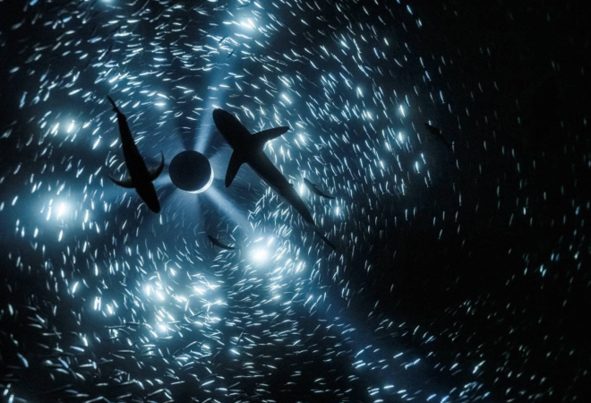 Julian Charrière: Midnight Zone