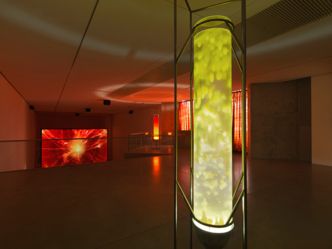 Julian Charrière: Controlled Burn - Solo Exhibition, Langen Foundation, Neuss, Germany - 最新消息 - Sean Kelly Gallery