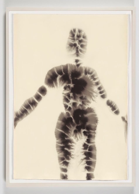 BODY LIX, 2011, carbon and casein on paper