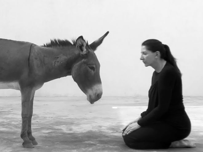 Marina Abramović in Donkey Work