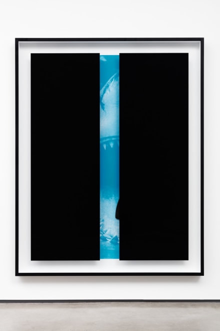 Kathryn Andrews Black Bars: Jaws, 2016