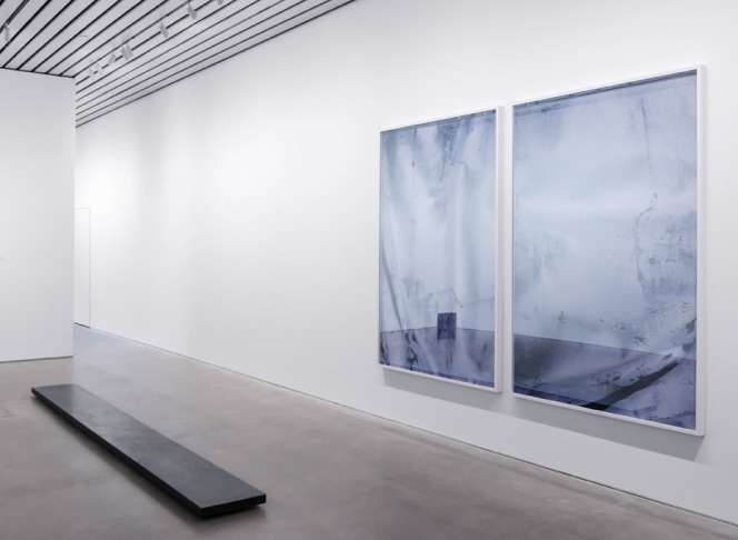 Sara VanDerBeek