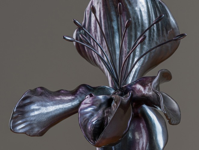 Isabelle Albuquerque: Alien Spring