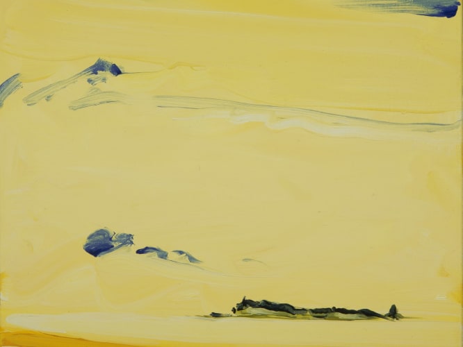 SUSAN HEADLEY VAN CAMPEN
