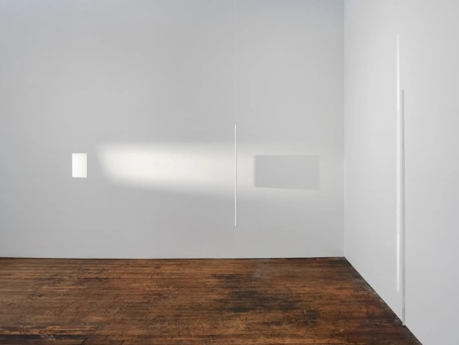 What to See in N.Y.C. Galleries Right Now: Fernanda Gomes