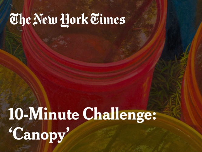 10-Minute Challenge: 'Canopy' by Catherine Murphy