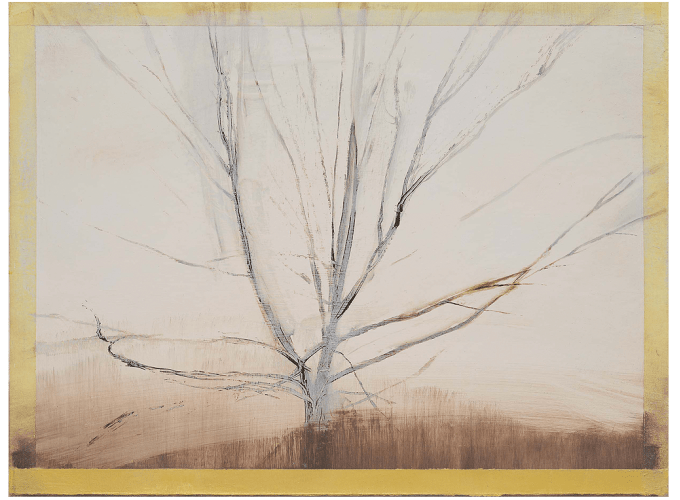 Sylvia Plimack Mangold: Tapes, Fields, and Trees, 1975–84