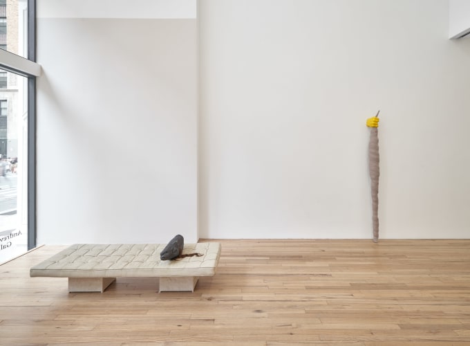 LIZ MAGOR