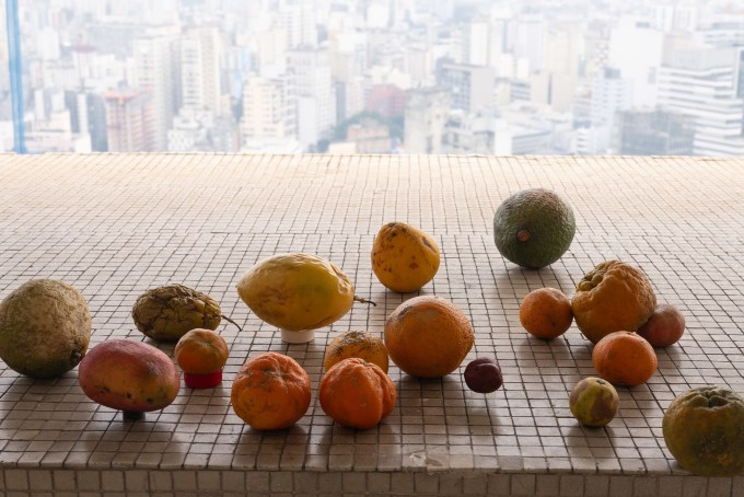 Wolfgang Tillmans