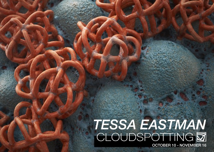 Tessa Eastman: CLOUDSPOTTING