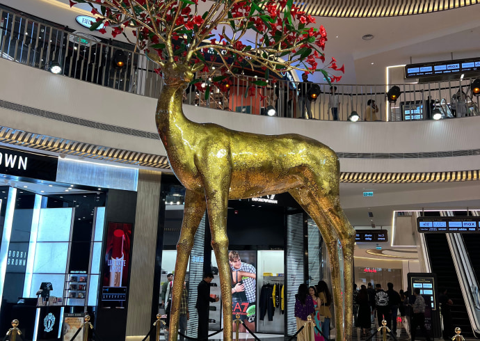 The Indian Express | Spanish artist Salvador Dali's famous horse sculpture installed in Ahmedabad mall