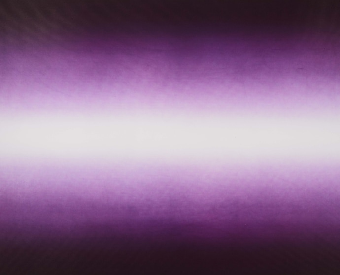 Anish Kapoor