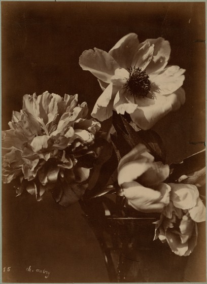 Charles Hippolyte AUBRY (French, 1811-1877) Flowers in a vase, 1860s Albumen print 36.2 x 26.3 cm