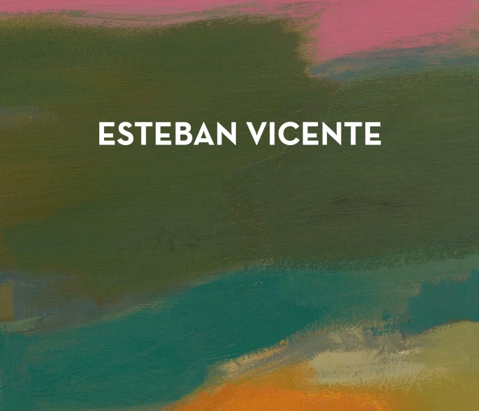 ESTEBAN VICENTE