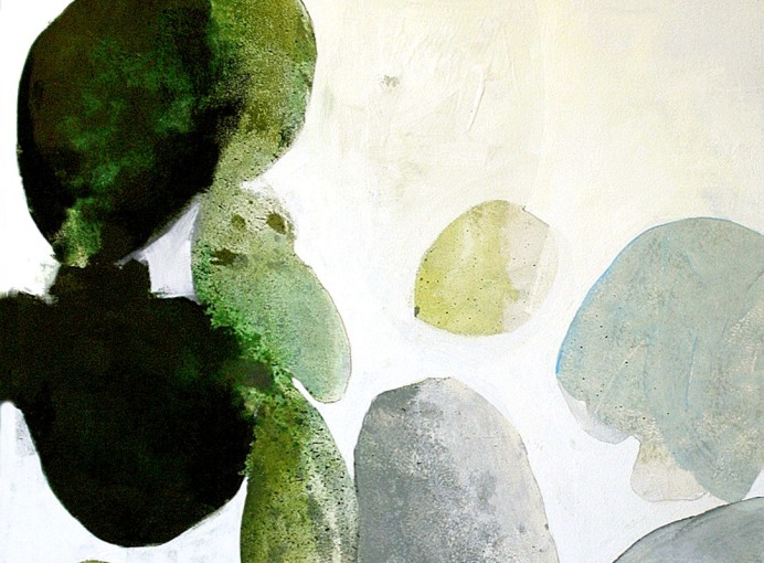 LICHEN SERIES