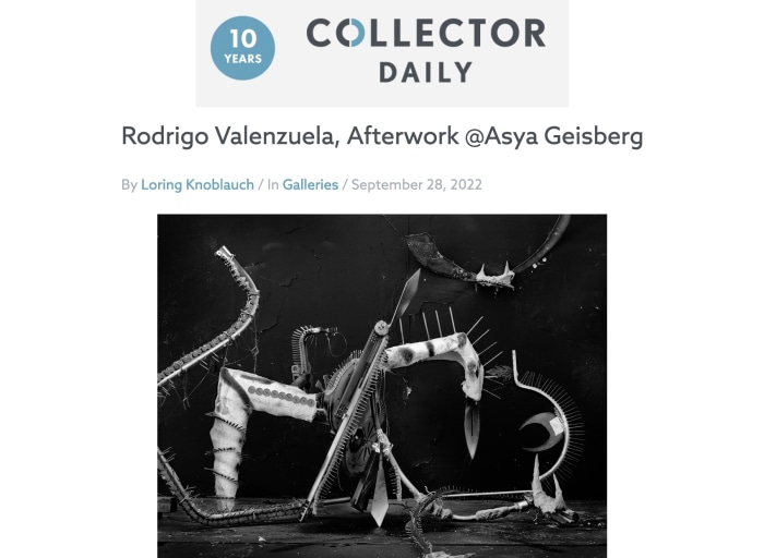 Rodrigo Valenzuela in Collector Daily