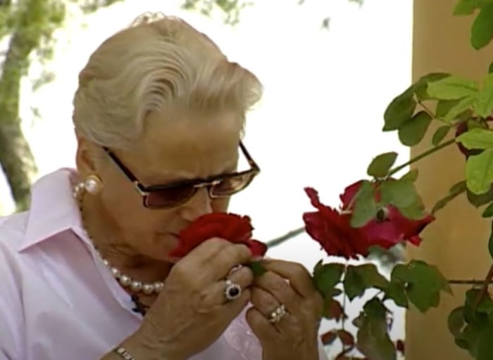 Ana Tzarev's Rose Flowers.