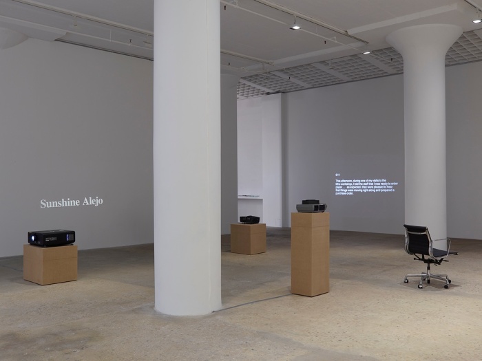 John Knight, Installation view, A Work in situ, Greene Naftali, New York, 2015