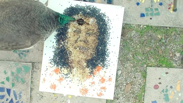 Peacock Museum The Department of Education , 2015 (still)