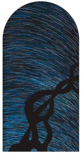 I pity you, unhappy stars, 2004, archival inkjet print, 88 x 44 inches