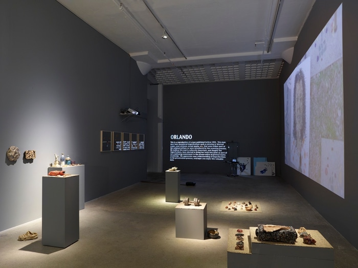Installation view, Orlando, Greene Naftali, New York, 2015