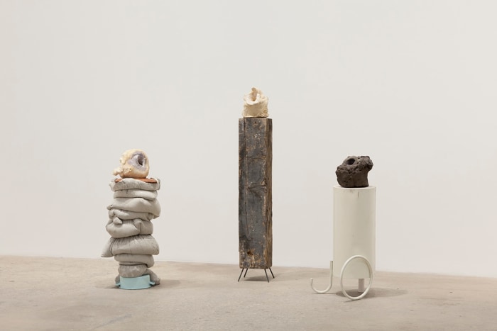 Installation view, New York Golem, Greene Naftali, New York, 2017
