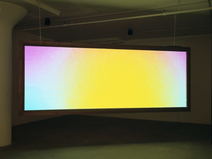 My birds... trash... the future., 2004, two channel digital projection installation, Installation view, Greene Naftali, New York, 2004