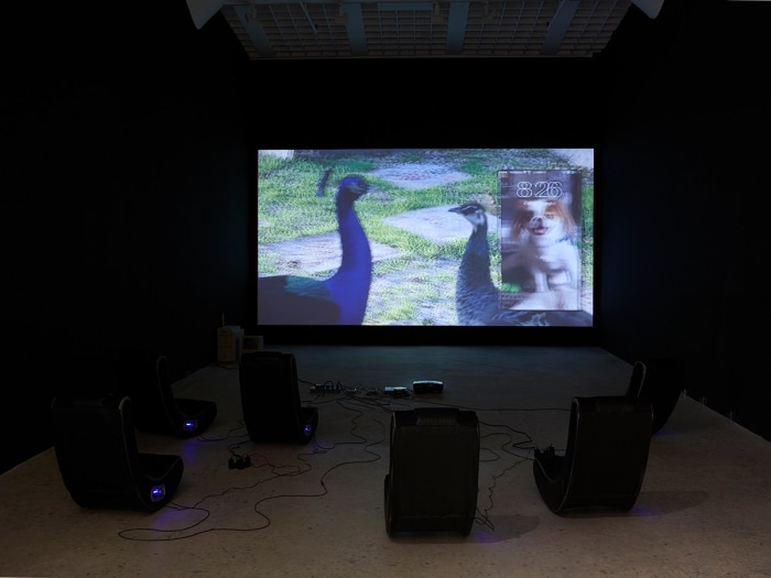 Trisha Baga MS Orlando, 2015 3-D Video installations, computers, thermometer Duration 34 minutes 3 sec