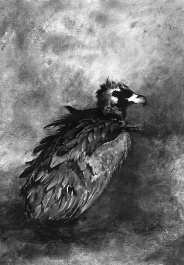 The eagle, the vulture, the black vulture, the red kite, any kind of black kite, any kind of raven, the homed owl, the screech owl, the gull, any kind of hawk, the little owl, the cormorant, the great owl, the white owl, the desert owl, the osprey, the stork, any kind of heron, the hoopoe and the bat -- Leviticus 11:13-19, 2004 (detail), charcoal on paper, 23 1/2 x 18 inches each