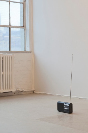 Lutz Bacher, KMS, 2016