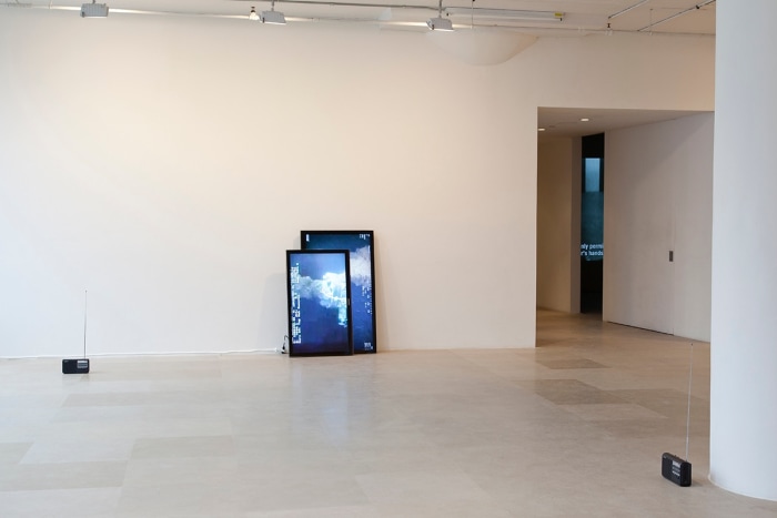 Installation view, 1966 - 2016, Greene Naftali, New York, 2017