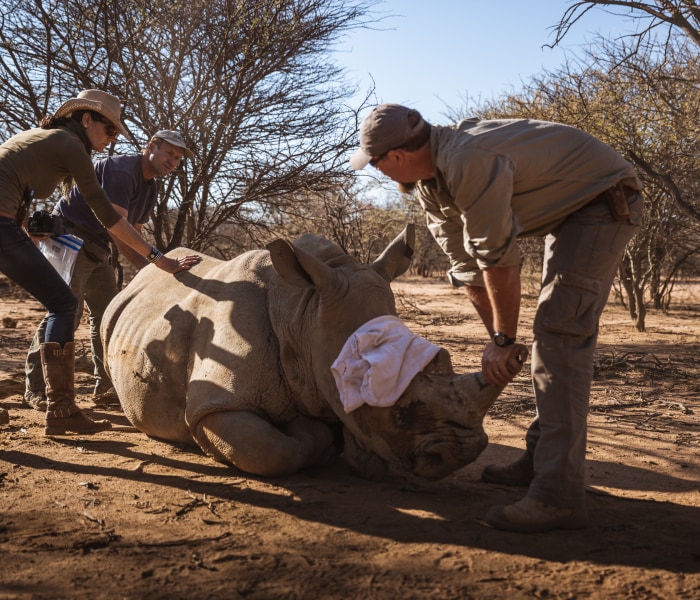 Mount Etjo Rhino Trust - Namibia