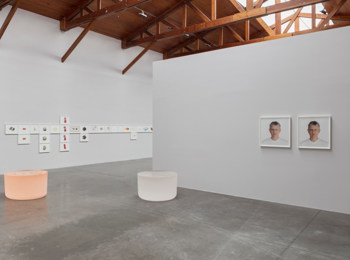 roni horn