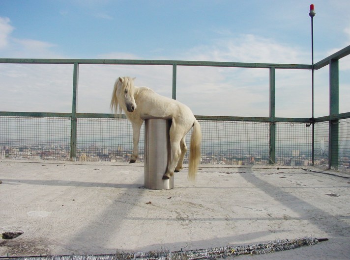 anri_sala_no_barragan_no_cry_2002