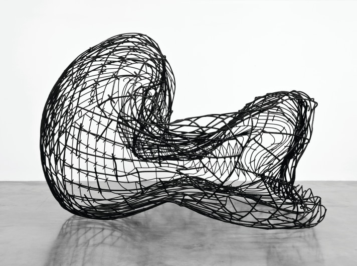 monika_sosnowska_the_fence_1_2011