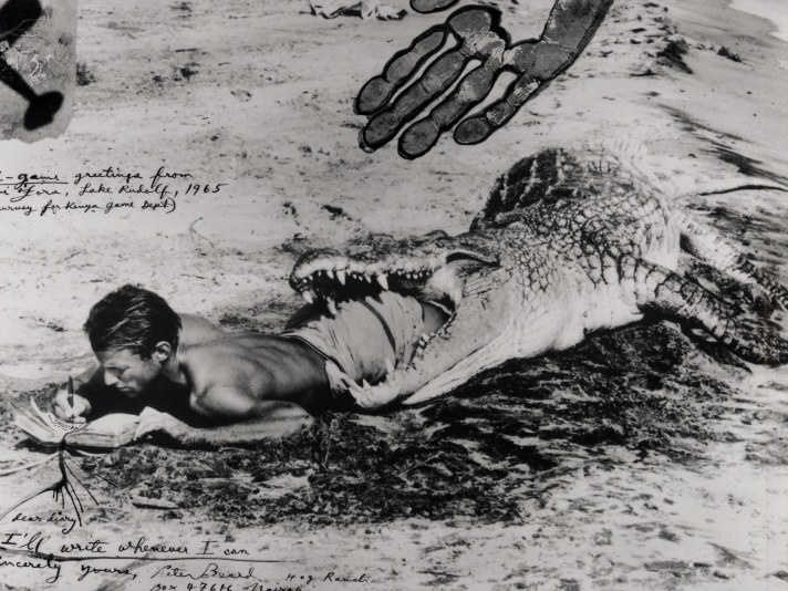 Peter Beard