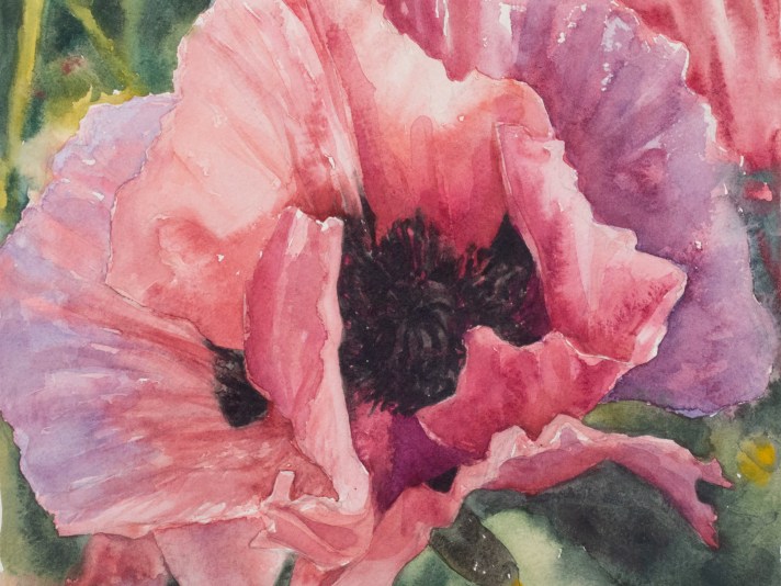 Eileen Goodman, Single Poppy, Watercolor