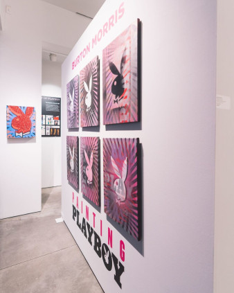 The Pink Bunny Series