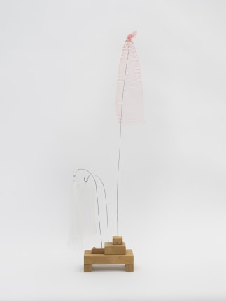 Untitled, 2005 Wood, metal and broccoli nets