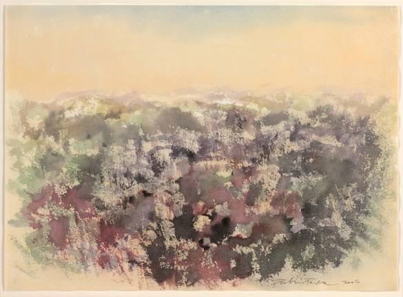 Fulvio Testa  Untitled, 2006  Watercolor on paper  11 x 15 1/4 inches (28 x 38.3 cm)