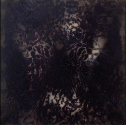 Eclipses JMS07-11, 2007