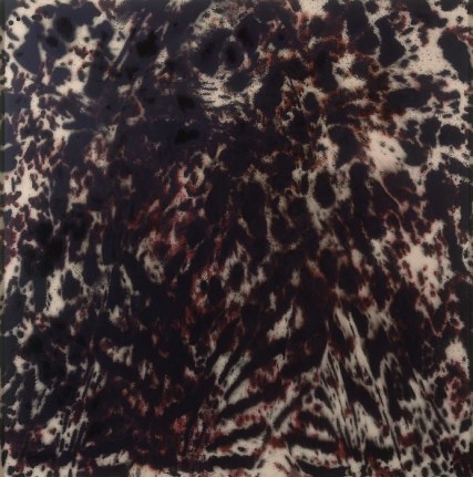 Eclipses JMS07-08, 2007