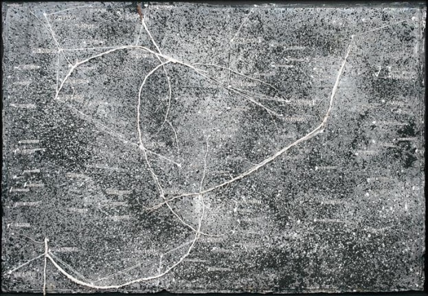Anselm Kiefer The Secret Life of Plants: Star Painting, 2003