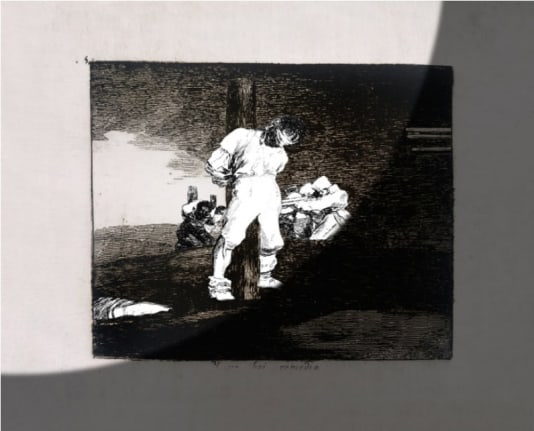 Farideh Lashai at The Prado Museum