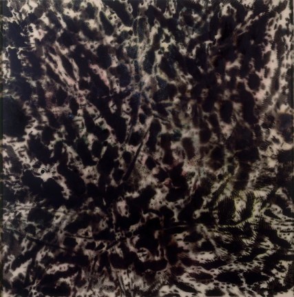 Eclipses JMS07-09, 2007